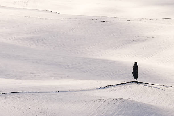 isolated tree on a snowy hill - loneliness concept
