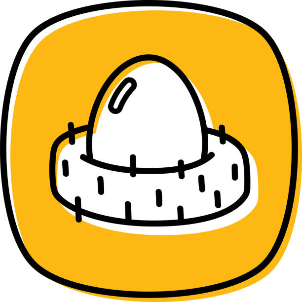 ilustraciones, imágenes clip art, dibujos animados e iconos de stock de doodle nido de huevo 2 - animal egg golden animal nest nest egg