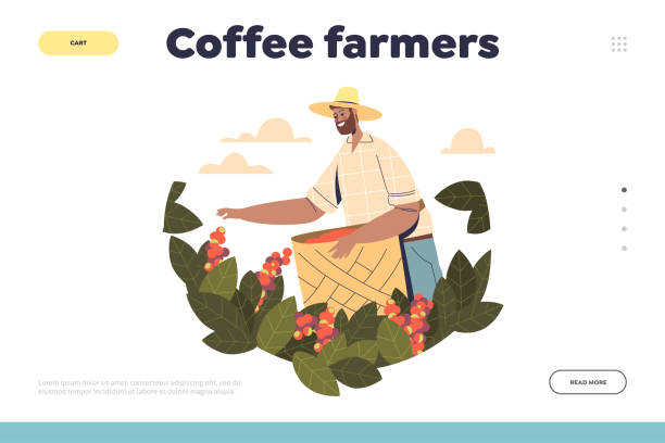Coffee farmers concept of landing page with farm worker collecting rape coffee beans from tree vector art illustration