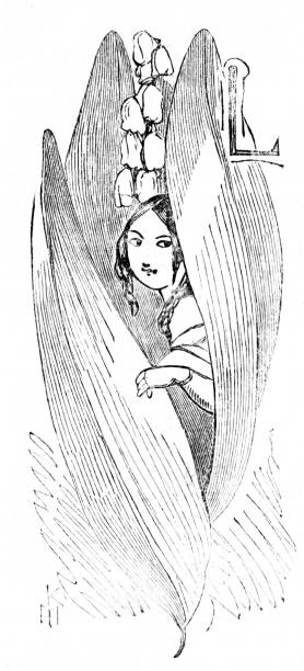 Letter L for Lily of the Valley, Tiny Girl inside, Concept, Contrast A miniature girl hides inside the leaves of a Lily of the Valley flower with the Letter L. Concept. Contrast. Wood Block Engravings published in 1860. Original edition is from my own archives. Copyright has expired and is in Public Domain. lily of the valley antique botanical engraving stock illustrations