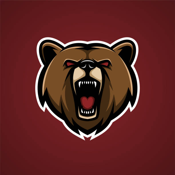 Illustration of Angry Bear Head Mascot Logo Vector Design - Animals Mascot logo Illustration of Angry Bear Head Mascot Logo Vector Design - Animals Mascot Esport logo grizzly bear stock illustrations