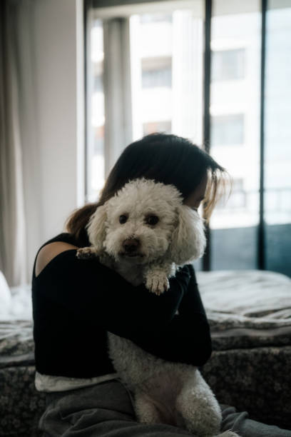 istock woman holds a white dog and uses a mobile computer to work at home 1396002142