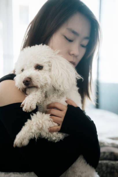 istock woman holds a white dog and uses a mobile computer to work at home 1396002185