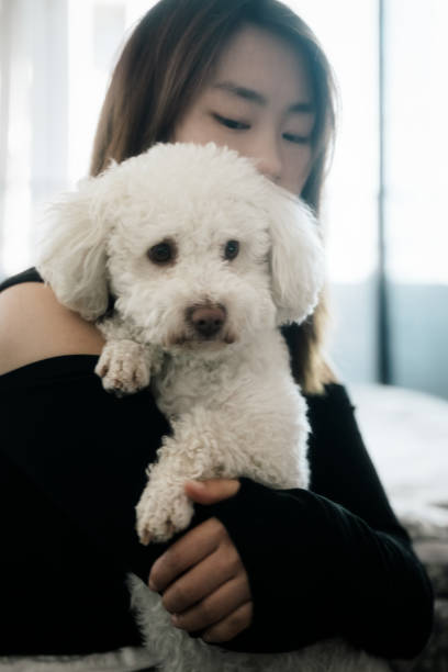 istock woman holds a white dog and uses a mobile computer to work at home 1396002190