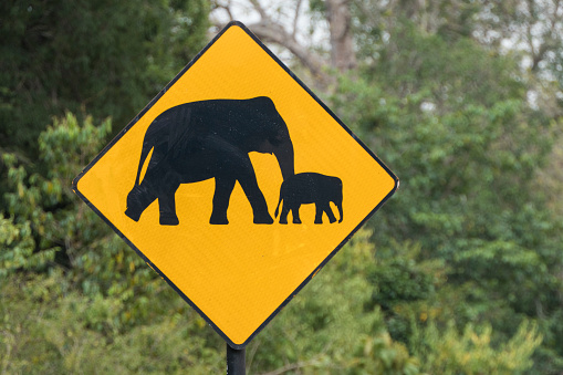 Ella, Sri Lanka An elephant warning sign on the side of the road