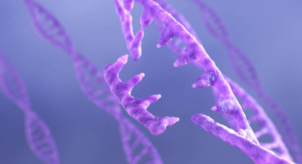 DNA and RNA Editing Concept. 3D Illustration stock photo
