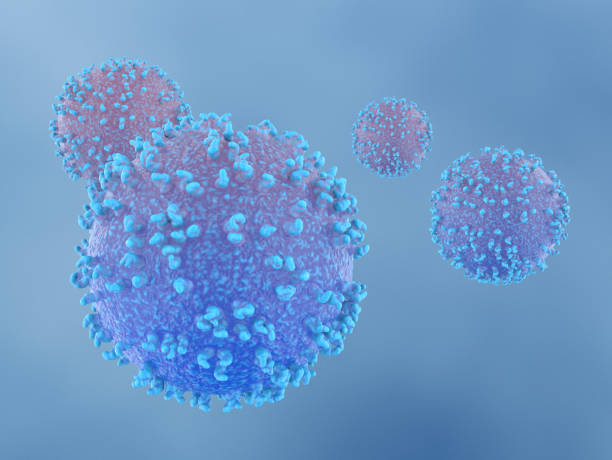 Lymphocytes in the Human Immune System stock photo