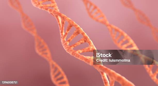 Dna Concept 3d Illustration Stock Photo - Download Image Now - CRISPR, Cloning, Biochemistry