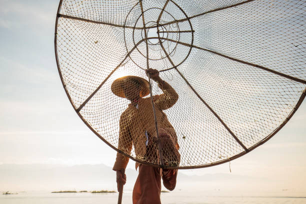 pescador birmanês em barco de bambu pegando peixes de forma tradicional com rede artesanal. lago inle, myanmar, birmânia - inle lake agriculture traditional culture farmer - fotografias e filmes do acervo