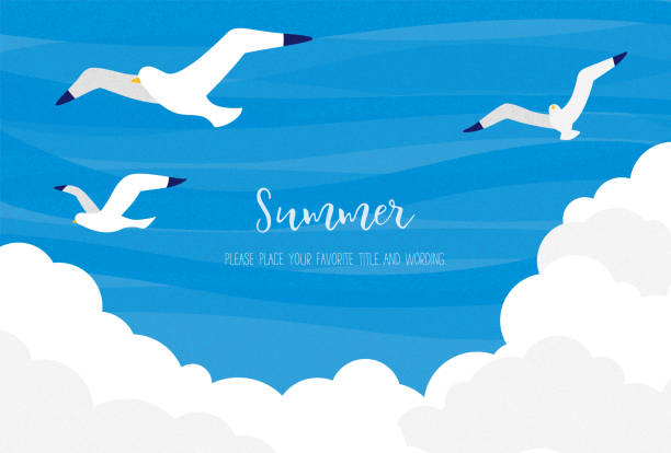 갈매기, 쿠뮬�로님버스 구름, 푸른 하늘을 결합한 여름 이미지 소재 - 갈매기 stock illustrations