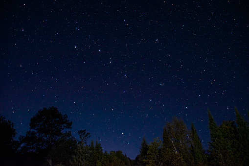 The constellation Big Dipper is seen in the sky above a forest surrounding Ahmic Lake in Ontario, Canada.
