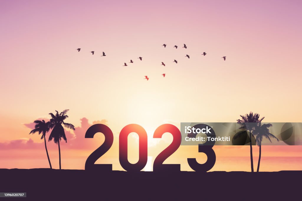 2023 number with palm tree and birds flying at tropical sunset beach abstract background. Happy new year and holiday celebration concept. 2023 number with palm tree and birds flying at tropical sunset beach abstract background. Happy new year and holiday celebration concept. Vintage tone filter color style. 2023 Stock Photo