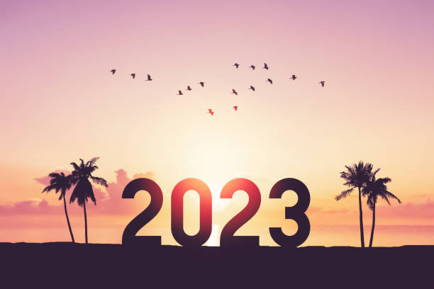 2023 number with palm tree and birds flying at tropical sunset beach abstract background. Happy new year and holiday celebration concept. 2023 number with palm tree and birds flying at tropical sunset beach abstract background. Happy new year and holiday celebration concept. Vintage tone filter color style. nature calendar stock pictures, royalty-free photos & images