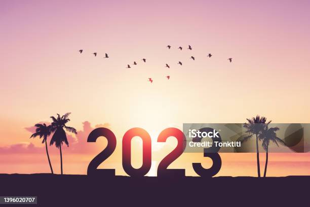 2023 Number With Palm Tree And Birds Flying At Tropical Sunset Beach Abstract Background Happy New Year And Holiday Celebration Concept Stock Photo - Download Image Now