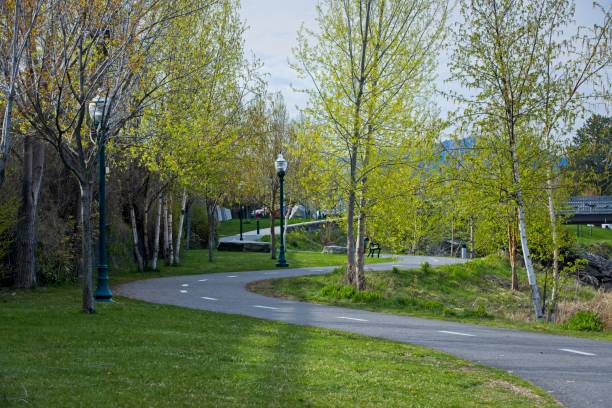 istock Tree lined bike path in north Idaho. 1396023570