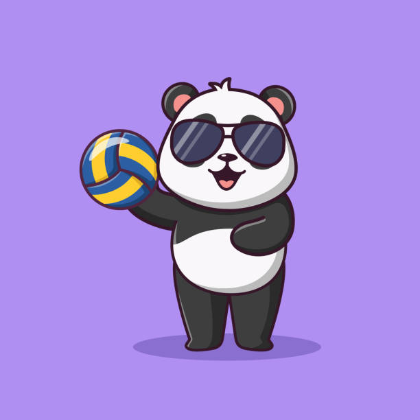 Cute cartoon panda holding volleyball, Cute cartoon panda at summer party, vector cartoon illustration Use the product for printing on clothing, accessories, party decorations, labels and stickers, kids room decoration, invitation cards, scrap booking, kids crafts, diaries, logo and more are panda bears aggressive stock illustrations