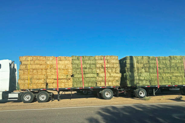 istock Tracker Trailer Full of Hay 1396024598