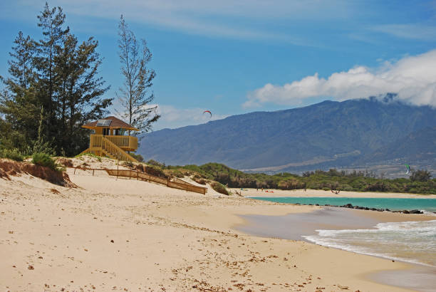 istock Lifeguard Hut on Beach in Maui 1396024641
