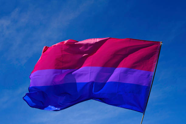 istock Bisexual flag fluttering in the wind over a radiant blue sky. 1396027765