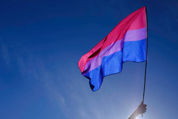 bisexuelle flagge, die im wind über einem strahlend blauen himmel flattert. - bi sexual stock-fotos und bilder
