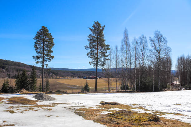 istock Sunny morning in Swedish countryside in springtime 1396028888