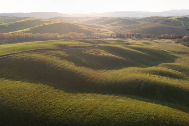 tuscany hill landscape. waves hills, rolling hills, minimalistic landscape with green fields in the tuscany. val d'orcia in the province of siena, italy
beautiful sunny day. - val tuscany cypress tree italy imagens e fotografias de stock