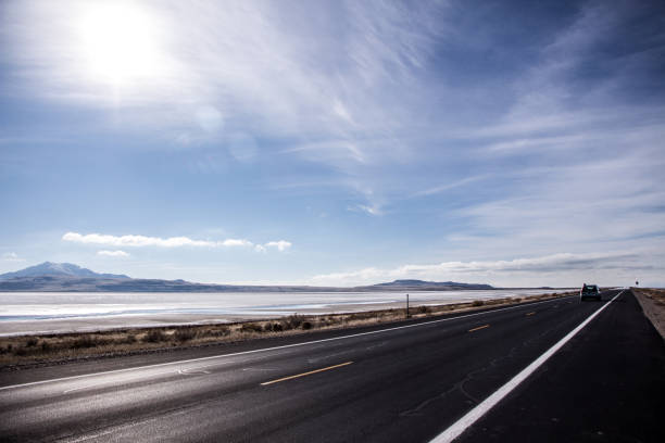 antelope island park - city of sunrise sunrise tree sky stock-fotos und bilder