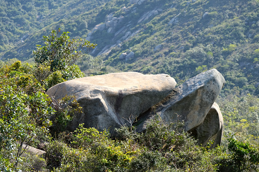 Rock resembling a turtle at Ling Kok Shan mountain, Hong Kong.