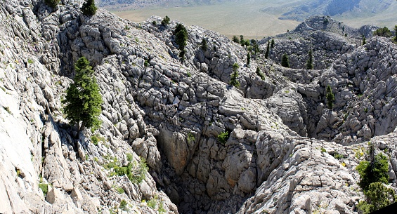 Çimi Platosunun karstik yüzey morfolojisi (Toros Dağları)