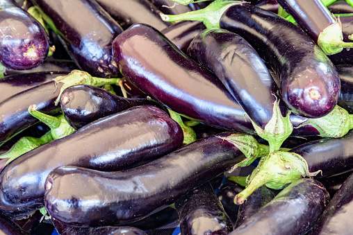 Closeup view of fresh eggplant. Good harvest of vegetables. Healthy eco food. Product of organic farming.