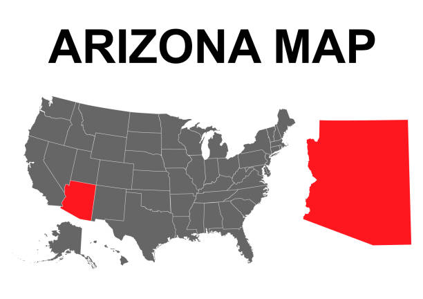 ilustraciones, imágenes clip art, dibujos animados e iconos de stock de forma de mapa de arizona, estados unidos de américa. ilustración vectorial de símbolo de icono de concepto plano - arizona map outline silhouette