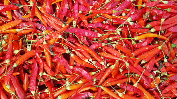 istock Top view of dried red chile peppers 1396040545