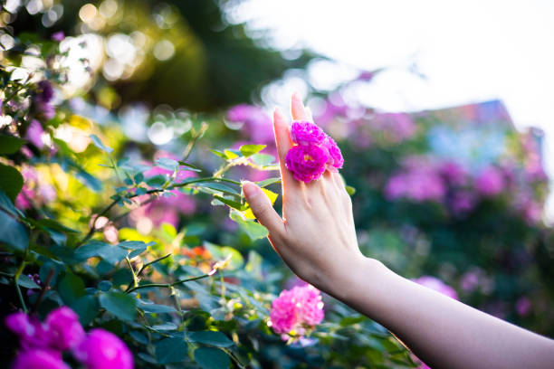 Women hand touching little flowers