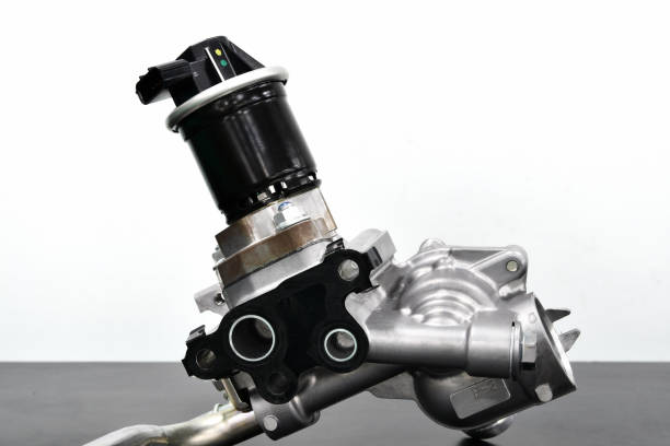 EGR valve for automobiles