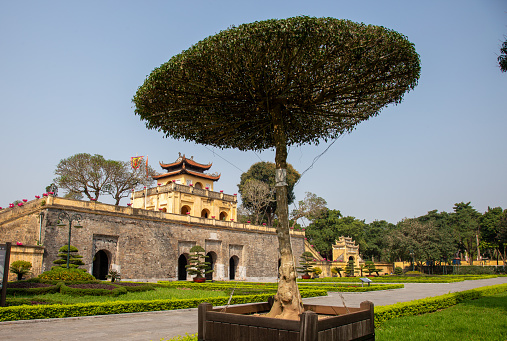 Hanoi, Vietnam - March 26, 2022: Topiary at the Imperial citadel complex which features 11th-century buildings & sculptures and is located on Hoang Dieu Street, Hanoi