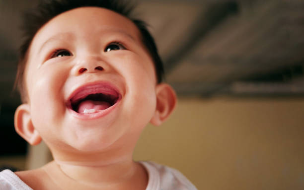 Asian baby smiling with two rises baby milk teeth. Asian baby smiling with two rises baby milk teeth. Happy baby in Asian family. baby teeth stock pictures, royalty-free photos & images