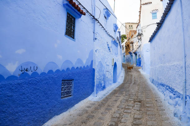istock Street in Chefchaouen, Morocco 1396048230