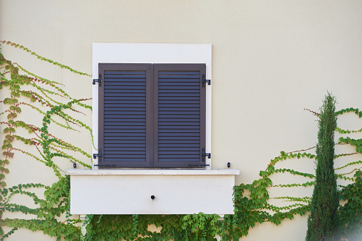 House window with closed shutters.