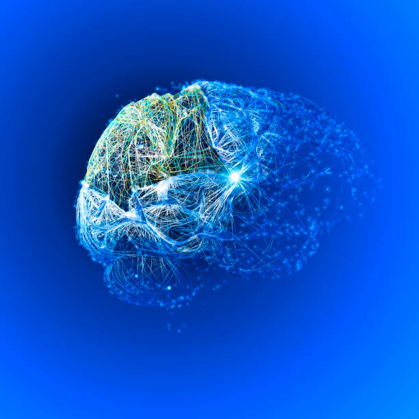 istock Brain, the parietal lobe is vital for sensory perception and integration 1396049418