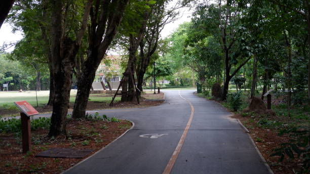 istock Bang Krachao public park, Bangkok 1396050881