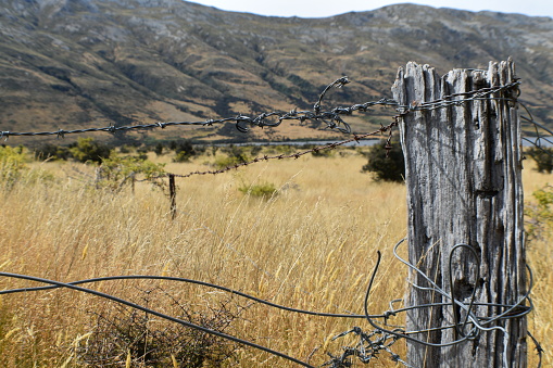 Close-up detail of barbed wire outdoors in a rural enviroment with blurred background and much copy space