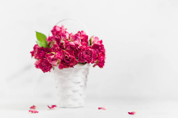 Dried roses and a cup of rose tea on wooden