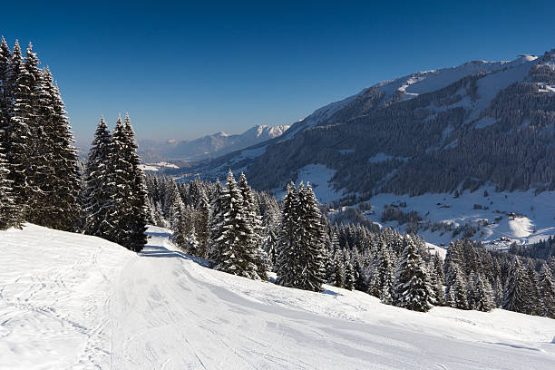 istock Winter in the mountains 139605393