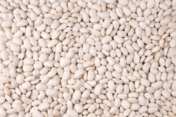 istock Background of white kidney beans close up, top view 1396055840