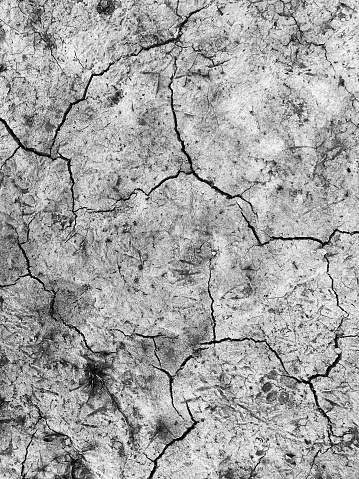 High angle view of dried earth after a long period without rainfall.