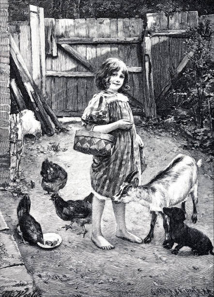 barfüßiges bauernmädchen mit ihren lieblingen im garten: hund, ziege und hühner - engraving eggs engraved image old fashioned stock-grafiken, -clipart, -cartoons und -symbole