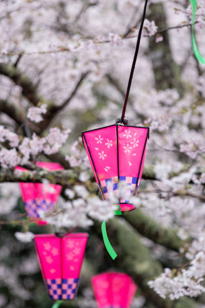 istock Cherry Blossom Festival 1396061066