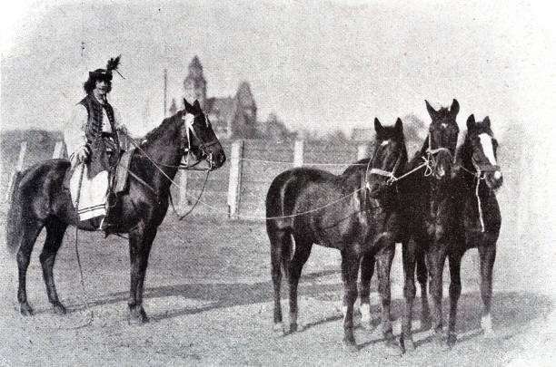 istock Hungarian soldier sitting on a horse, 3 more horses on a leash 1396065300
