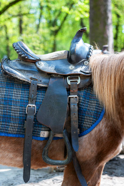 istock Saddle  on a back of a horse 1396066418