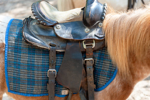 istock Saddle  on a back of a horse 1396066419